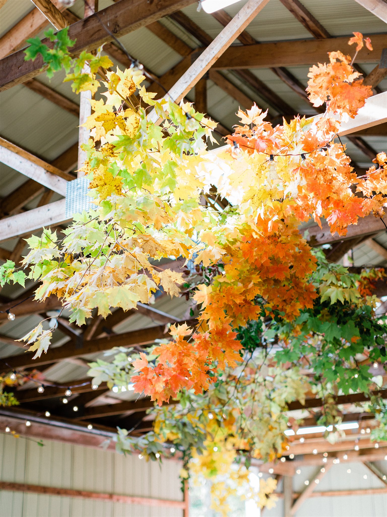 Best Ceilings_image_10