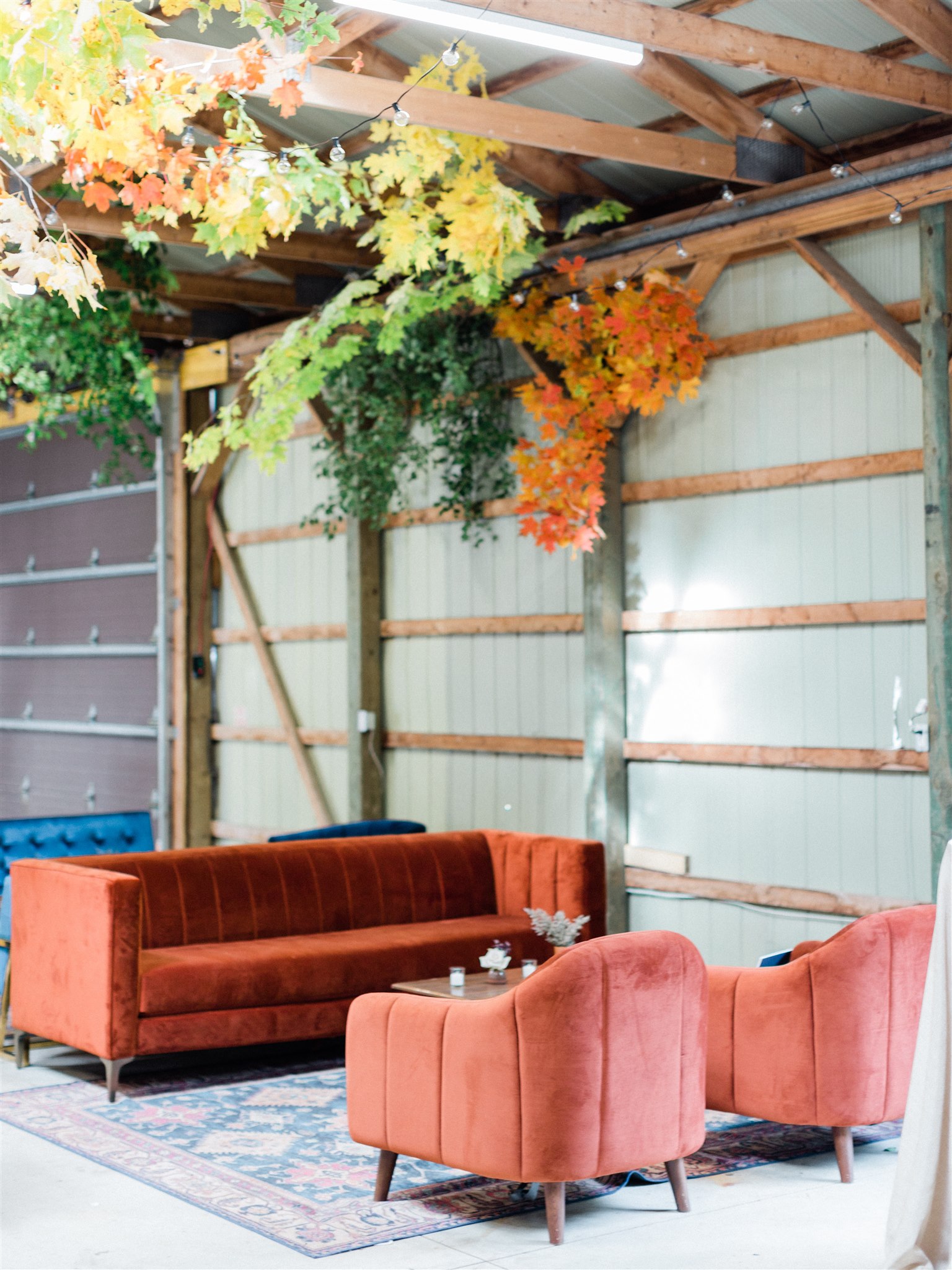 Best Ceilings_image_10