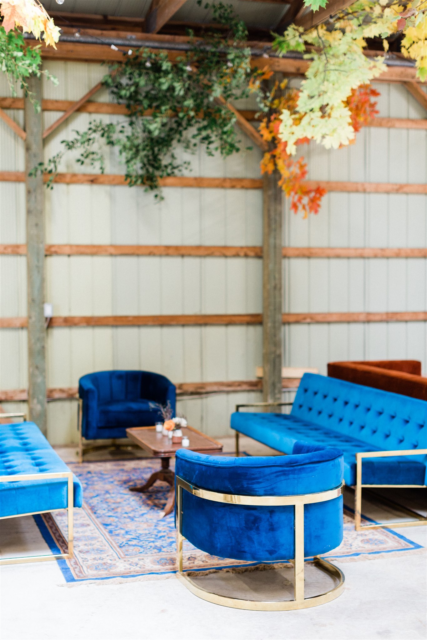 Best Ceilings_image_10