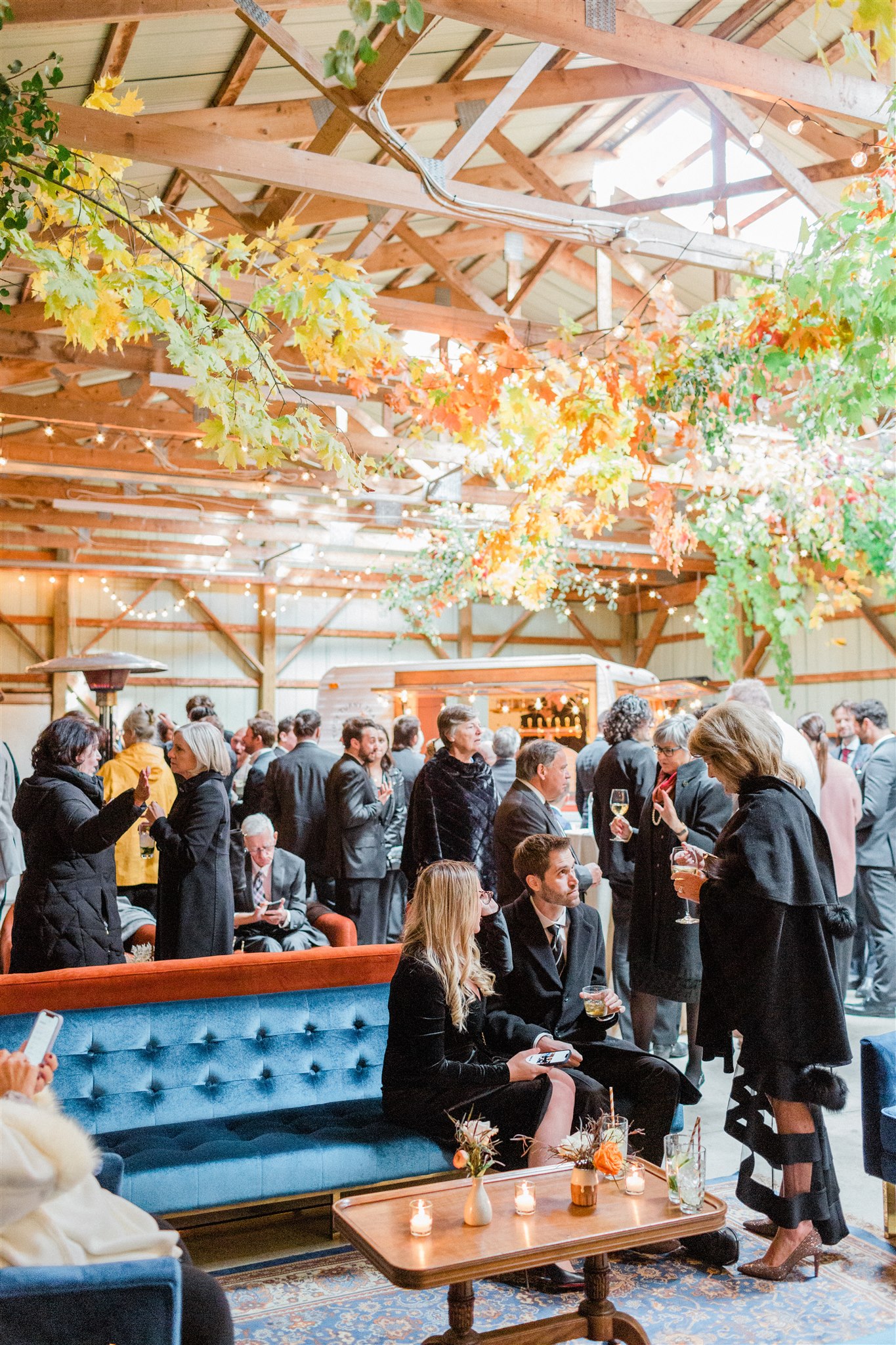 Best Ceilings_image_10