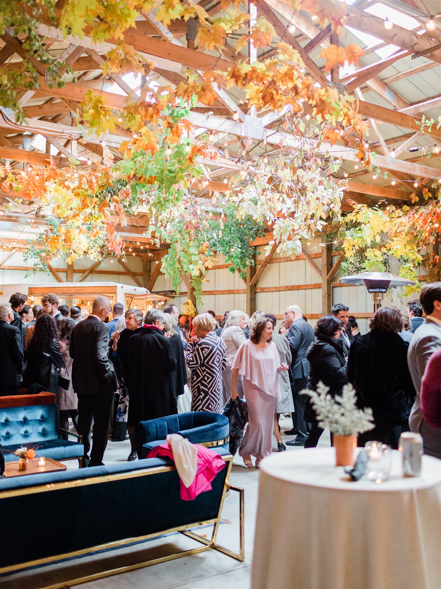 Best Ceilings_image_10