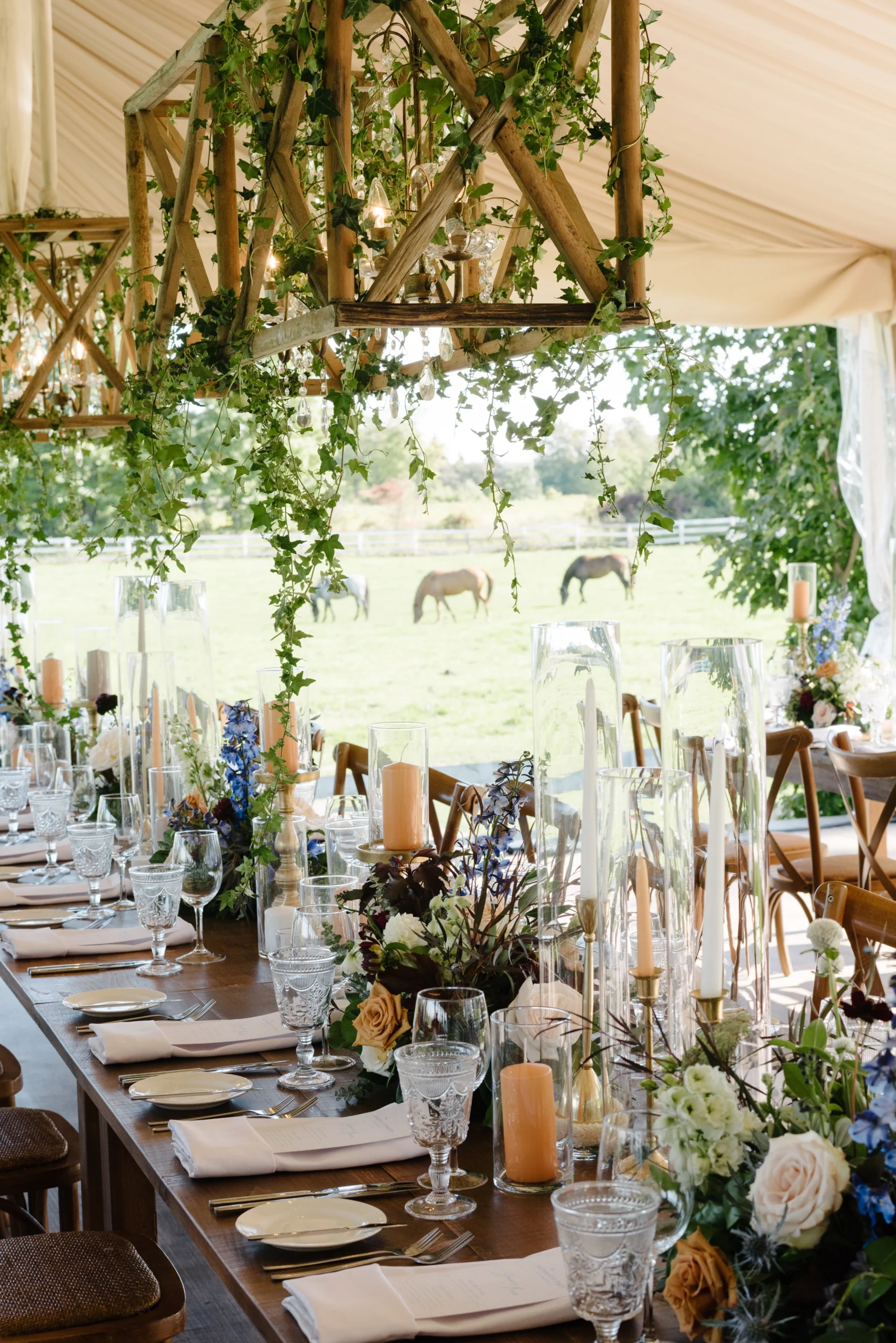 Best Ceilings_image_10