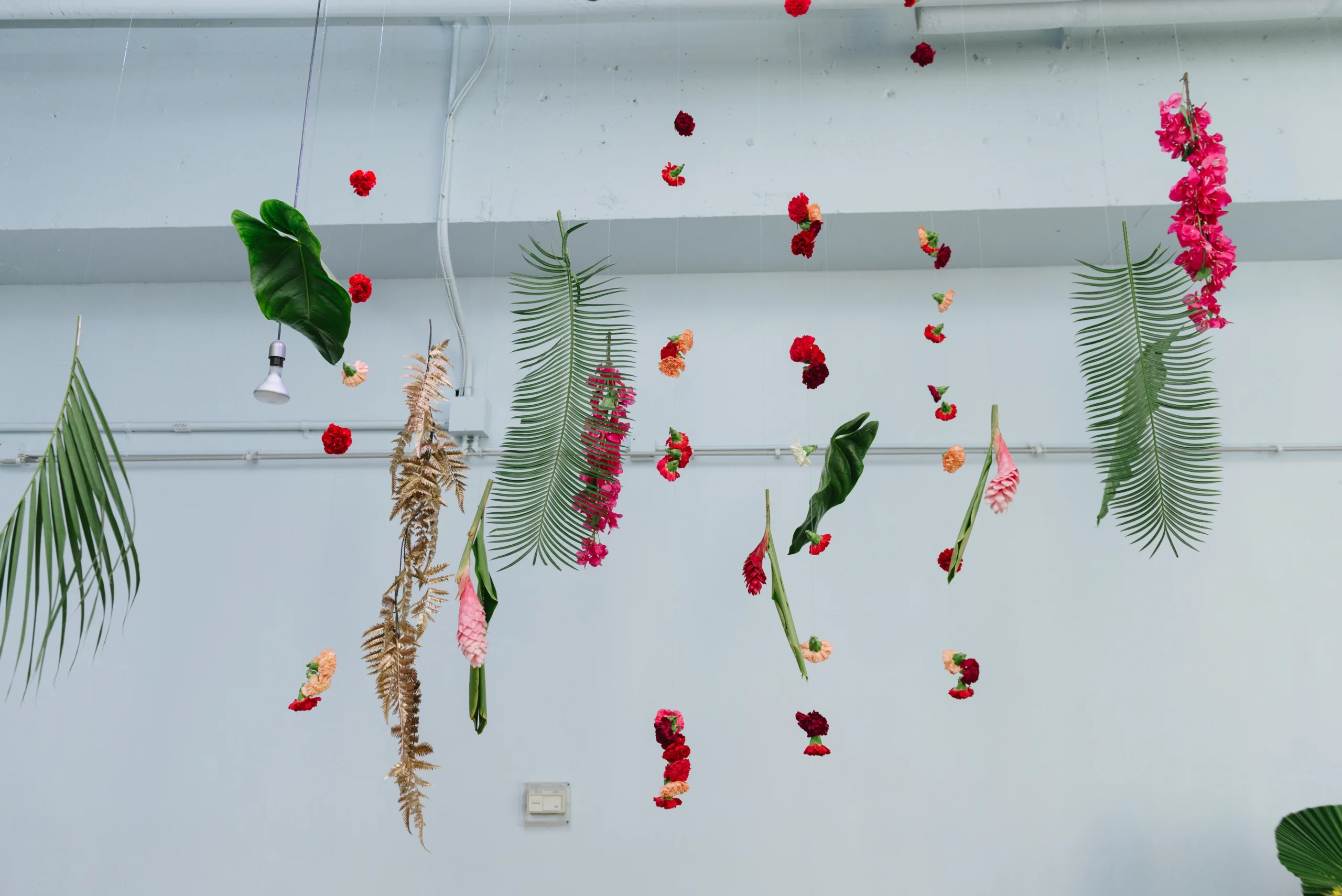 Best Ceilings_image_10