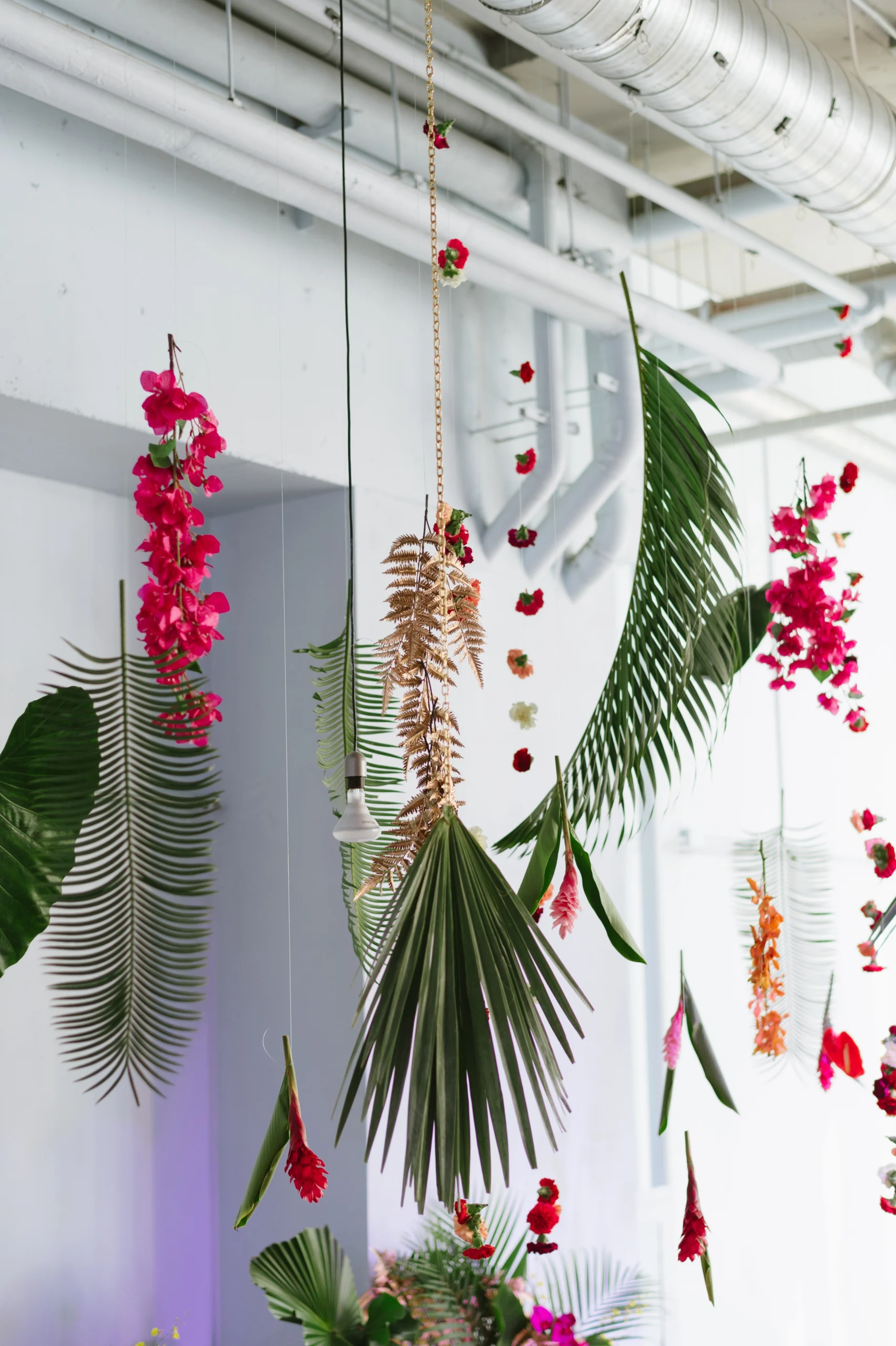 Best Ceilings_image_10